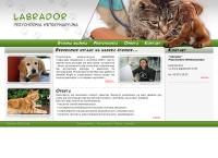 Labrador. Przychodnia Weterynaryjna