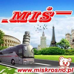 "miś" Przewóz Osób