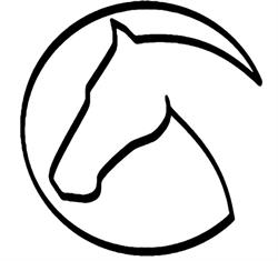Niwka