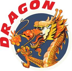 Dragon - Hurtownia i Sklep z fajerwerkami