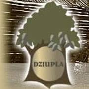 Restauracja Dziupla - Truskaw
