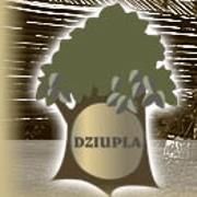 Restauracja Dziupla - Truskaw