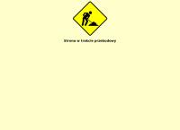 Rhytmos. Przygotowanie i druk publikacji