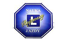 Rojewscy. Nauka Jazdy