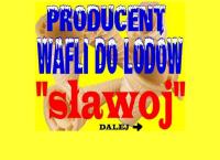 "sławoj" Pph