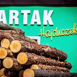 Hajduczek Franciszek. Tartak