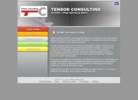 Strona internetowa z Tensor Consulting. Farby Proszkowe Tigerwerk
