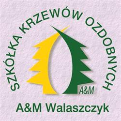 Szkółka Krzewów Ozdobnych A&M Walaszczyk - HURT