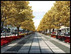 Art Huma. Architektura Wnętrz. Wizualizacje, Grafika Komputerowa 3d