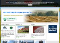 Strona internetowa z Interhandel SC