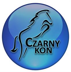 Czarny Koń. Kantor Wymiany Walut. Lombard