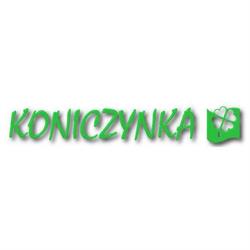 Koniczynka