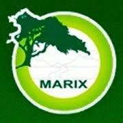 Marix. Miszczak m.