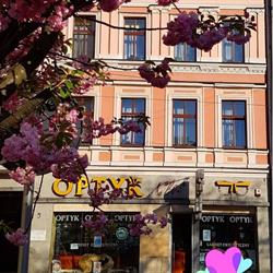 Kłos