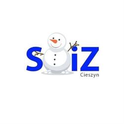 Szkoła Organizacji i Zarządzania