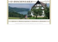 Bochniak Anna. Wynajem Pokoi