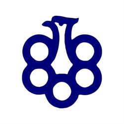 Wielkopolskie Stowarzyszenie Sportowe