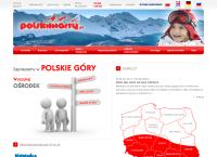Strona internetowa z SKANAGA. DYK A.