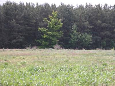 Widok-z-zewnatrz