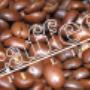 Caffee POLIT_ziarno Costa Rica
