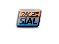 MR-STAL S.C Rafał Błahut, Marek Tkaczyk