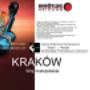 Brotje_serwis_kraków_xvertiv_kotły_piece_gazowe_kondensacyjne_piece_z_zasobnikiem_solarnym_zabudowie