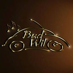 Bud-Wil Audiotuning