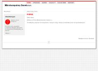 Strona internetowa z Dalba Travel