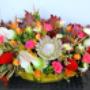 Dodane przez klienta firmy 21.10.2016