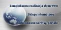 Strony Internetowe dla firm
