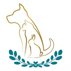 Przychodnia Weterynaryjna Akacjowa
