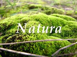 Natura. Sklep