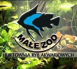 Sklep Zoologiczny "Małe ZOO" Zabrze