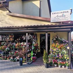 Azalia. Kwiaciarnia. Dering A.