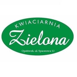 Zielona. Kwiaciarnia