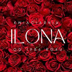 Ilona. Kwiaciarnia. Szczepanik H.