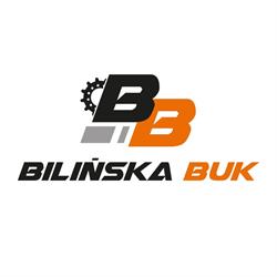 Sklep motoryzacyjny. Bilińska-Kaus K.