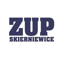Zespół Usług Projektowych