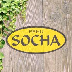 Socha