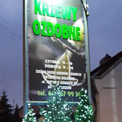 Kulińska Katarzyna. Szkółka drzew i Napletów ozdobnych