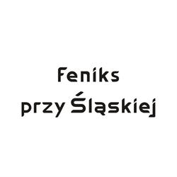 FENIKS przy Śląskiej