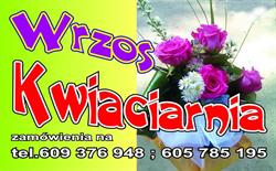 Wrzos. Kwiaciarnia