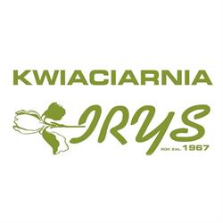 Irys. Kwiaciarnia. Misiejuk J.