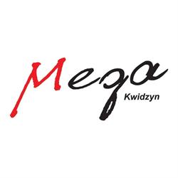 Mega. Firma Transportowo - Handlowa. Przewóz Osób