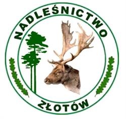 Nadleśnictwo Złotów