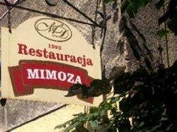 Mimoza. Bar