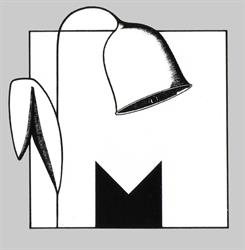 Molucella. Kwiaciarnia. Paszkowiak m.