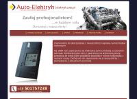 AUTO-ELEKTRYK