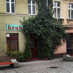 Krakus Sc. Bar