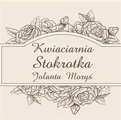 Stokrotka. Kwiaciarnia